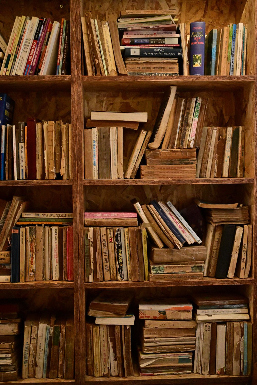 A warmly lit shelf filled with well-loved books